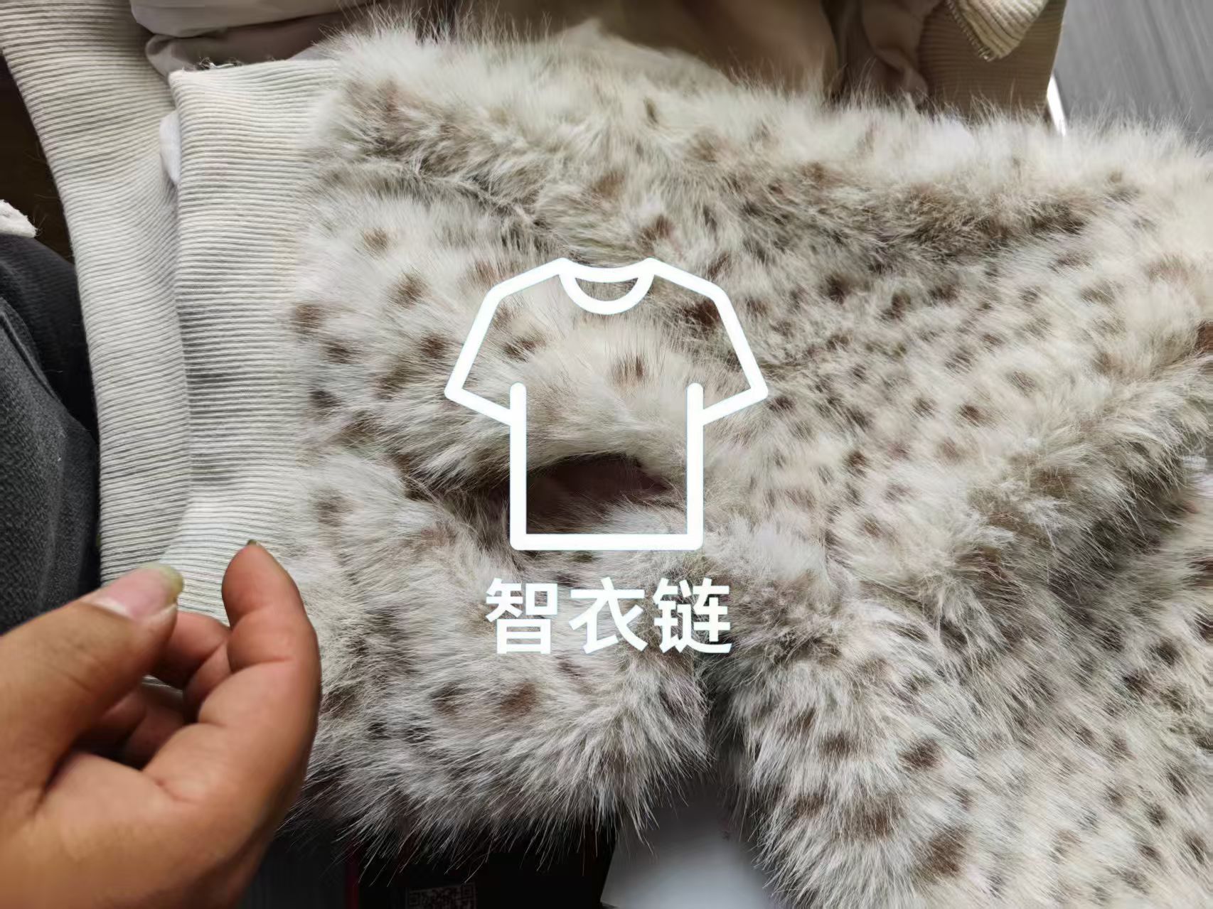 订单图片