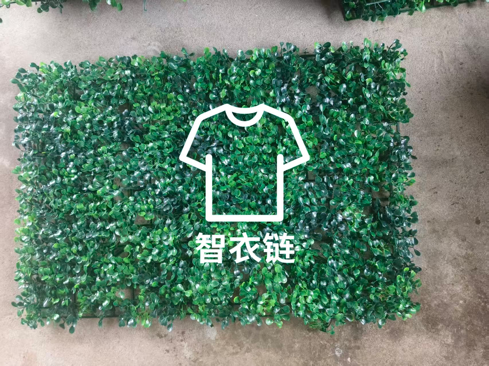 订单图片