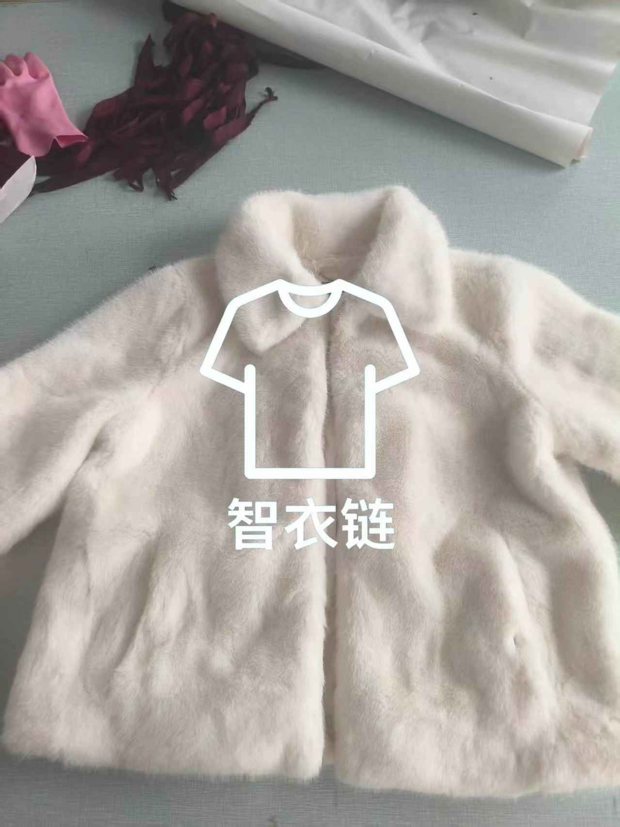 订单图片