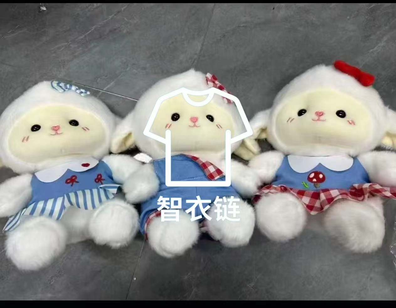 订单图片