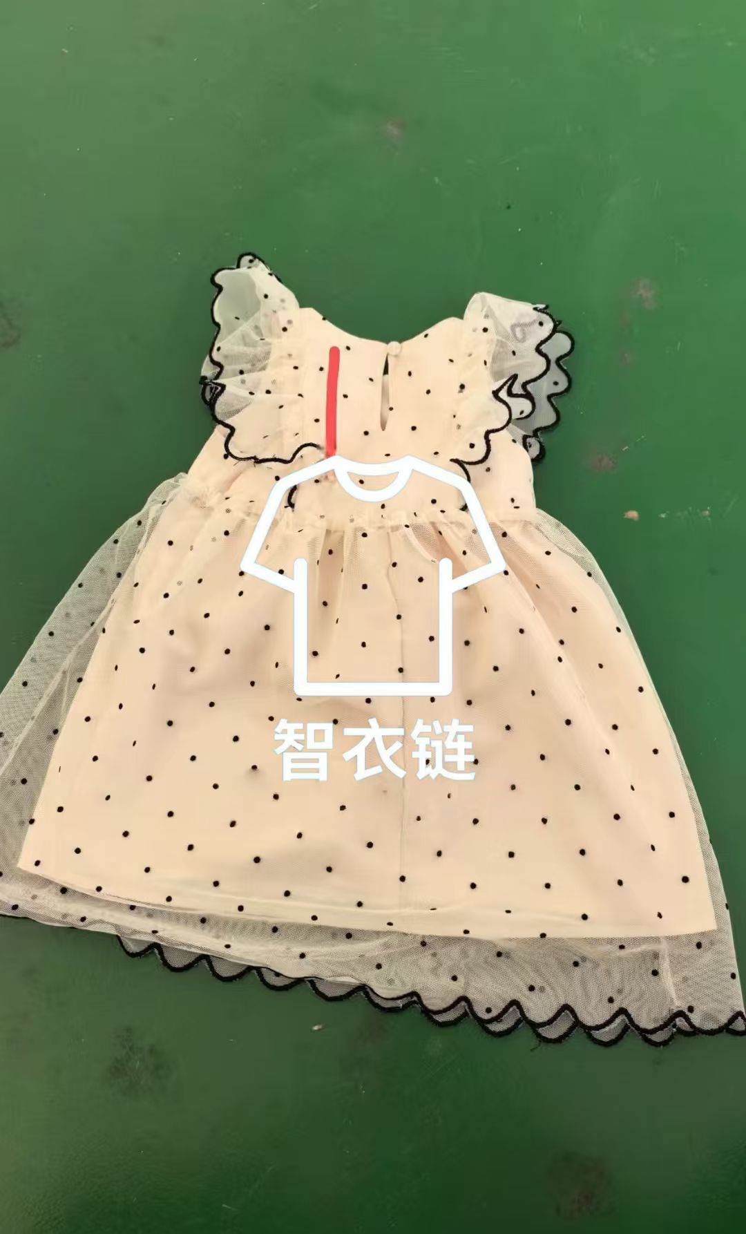 订单图片